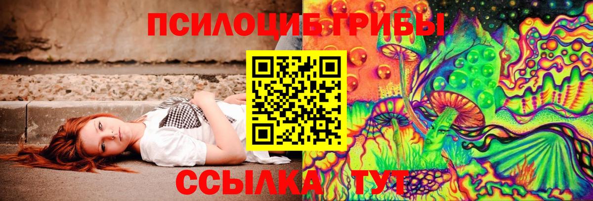 Каспийск  Псилоцибиновые грибы GOLDEN TEACHER  Вход с VPN 