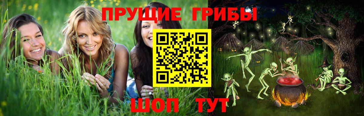 Галлюциногенные грибы мухоморы Каспийск